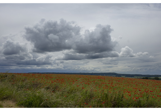 20190612-M-Cugny-121