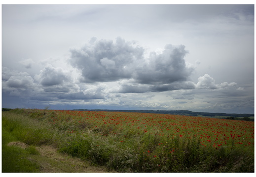 20190612-M-Cugny-122