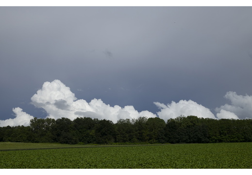 20190612-M-Noyon-138