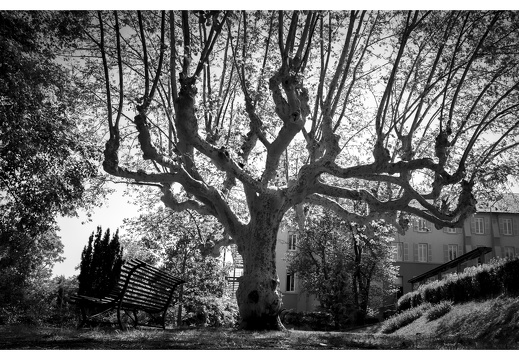 20190613-M-Lyon-DomaineStJoseph-113