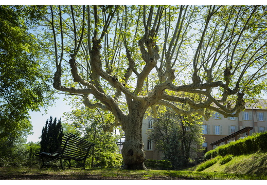 20190613-M-Lyon-DomaineStJoseph-114