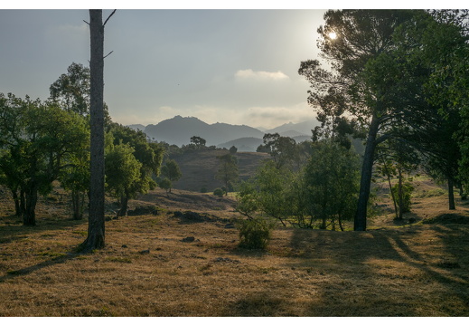 20190617-M240-Esterel-101