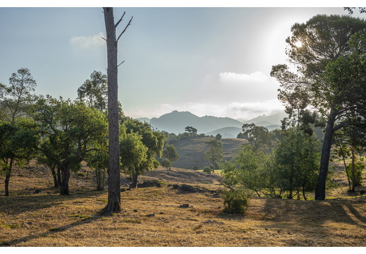 20190617-M240-Esterel-102