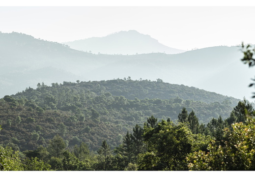 20190617-M240-Esterel-104