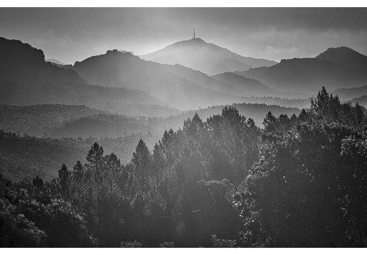 20190617-M240-Esterel-107