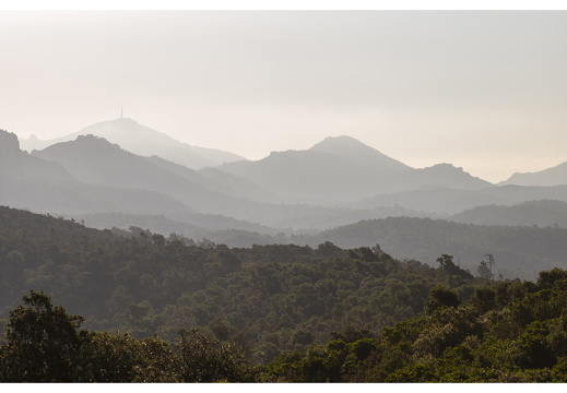 20190617-M240-Esterel-111
