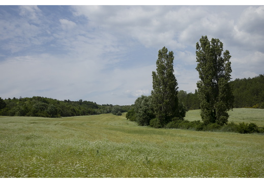 20190618-Castellane-119