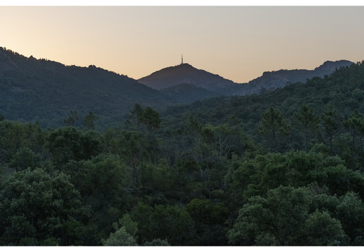 20190618-D800-Esterel-103