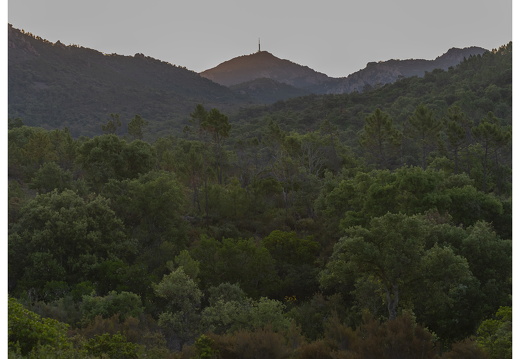 20190618-D800-Esterel-104