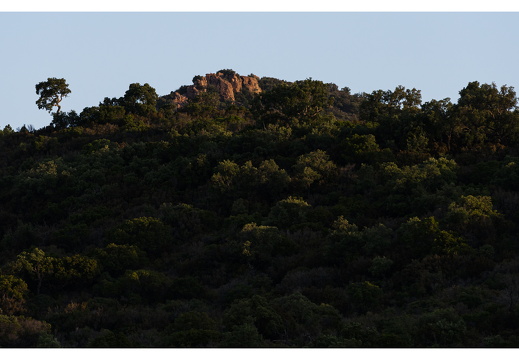 20190618-D800-Esterel-105