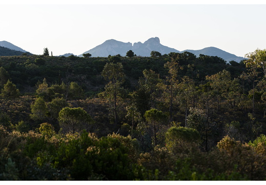 20190618-D800-Esterel-110