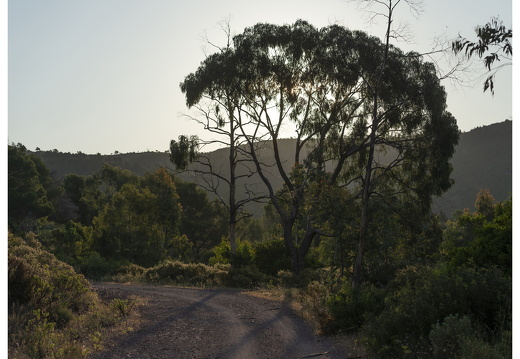 20190618-D800-Esterel-111