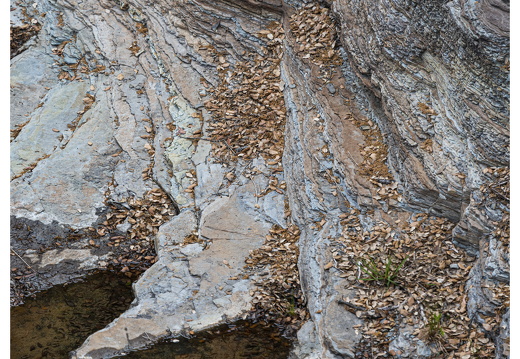 20190618-D800-Esterel-112