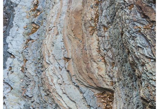20190618-D800-Esterel-113