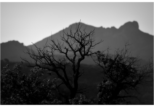20190618-D800-Esterel-115