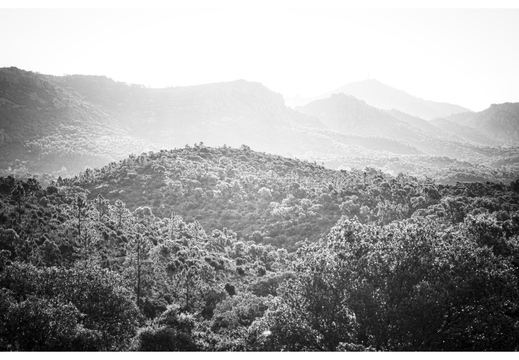 20190618-D800-Esterel-117