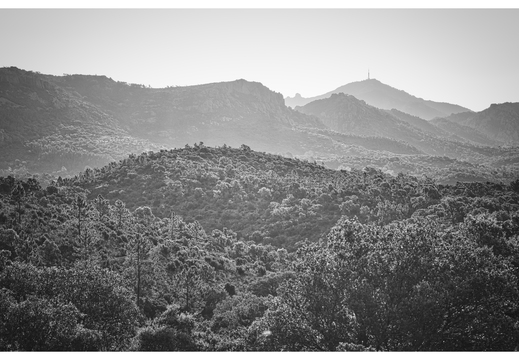 20190618-D800-Esterel-118