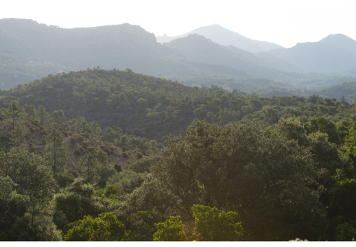 20190618-D800-Esterel-119