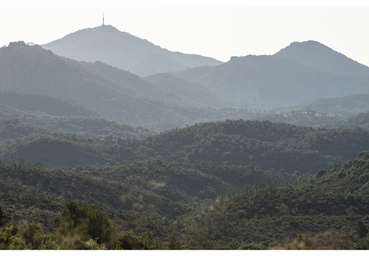 20190618-D800-Esterel-121