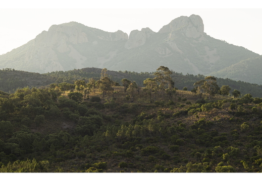 20190620-M240-Esterel-102