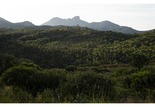 20190620-M240-Esterel-103
