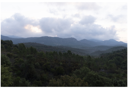 20190621-X100F-Esterel-101