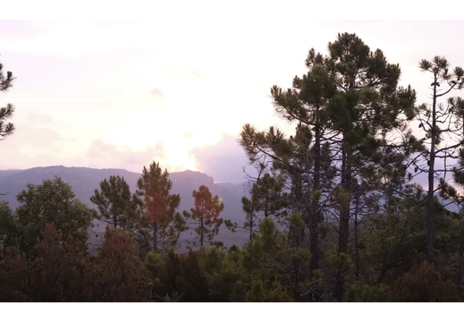20190621-X100F-Esterel-102