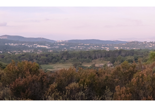 20190621-X100F-Esterel-104