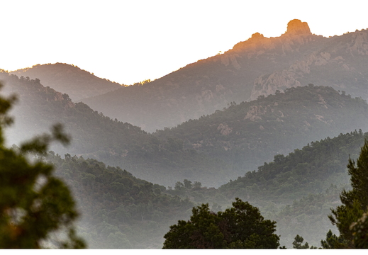 20190623-D800-Esterel-101