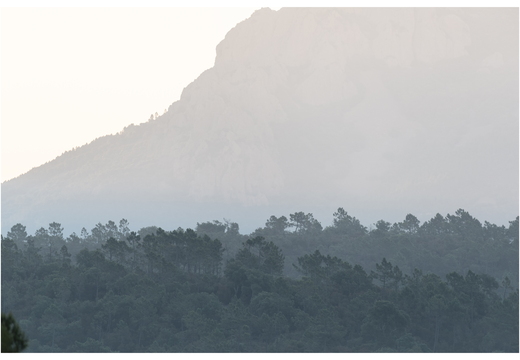 20190623-D800-Esterel-103