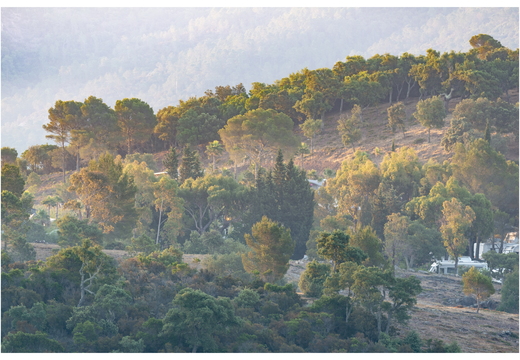 20190623-D800-Esterel-104
