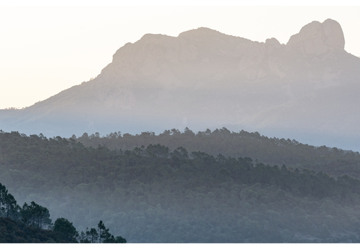 20190623-D800-Esterel-105