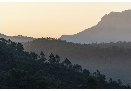 20190623-D800-Esterel-106