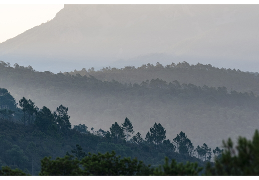 20190623-D800-Esterel-112