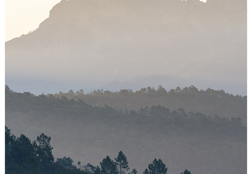 20190623-D800-Esterel-113