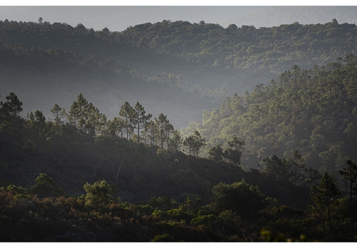 20190623-D800-Esterel-119