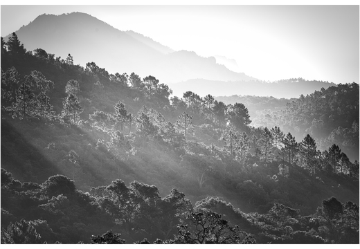 20190623-D800-Esterel-124