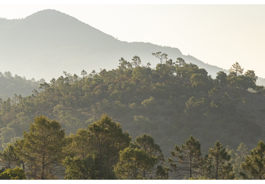 20190623-D800-Esterel-125