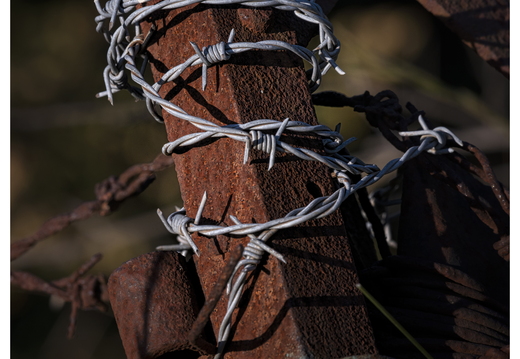20190623-D800-Esterel-127