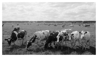 20190701-FM3a-Delta100-Fietsen-111