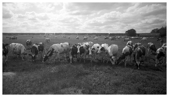 20190701-M4-Delta100-Fietstocht-135