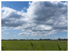20190702-X100F-Tienhoven-101