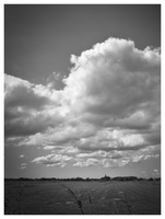 20190702-X100F-Tienhoven-102