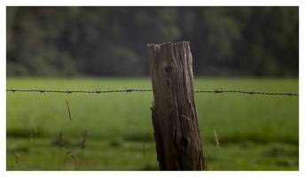 20190821-M240-135mmElmarit-Fietsen-105
