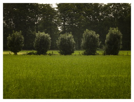 20190821-M240-135mmElmarit-Fietsen-108