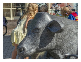 20190831-M-Woerden--119