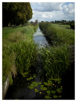 20190901-Vecht-116