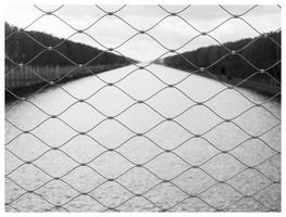 20190913-MEF-Delta100-50mm-106