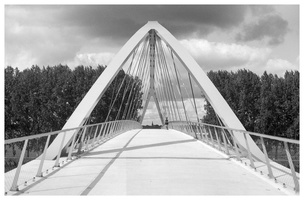 20190913-MEF-Delta100-50mm-114