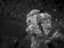 20190915-F5-Delta100-Vecht-105-bewerkt